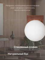 Потолочный светильник SS1N 000036820 Мелодия Света