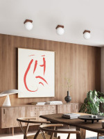 Потолочный светильник SS1N 000036820 Мелодия Света