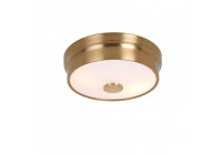 Потолочный светильник Pannikin 2375-2C Favourite