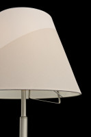 Торшер Vanessa FR5084FL-01G Freya