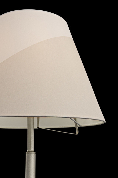 Торшер Vanessa FR5084FL-01G Freya