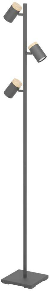 Торшер Cartagena 390071 Eglo