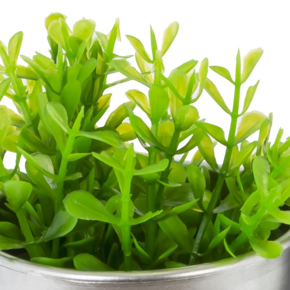 Цветочная композиция, L8,5 W8,5 H19 см