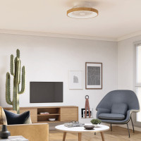 Потолочный светильник Tibet 7806 Mantra Потолочный светильник Tibet 7806 Mantra