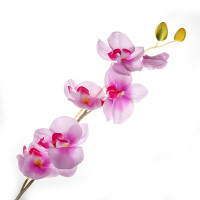 Орхидея (H-81см) Орхидея (H-81см)