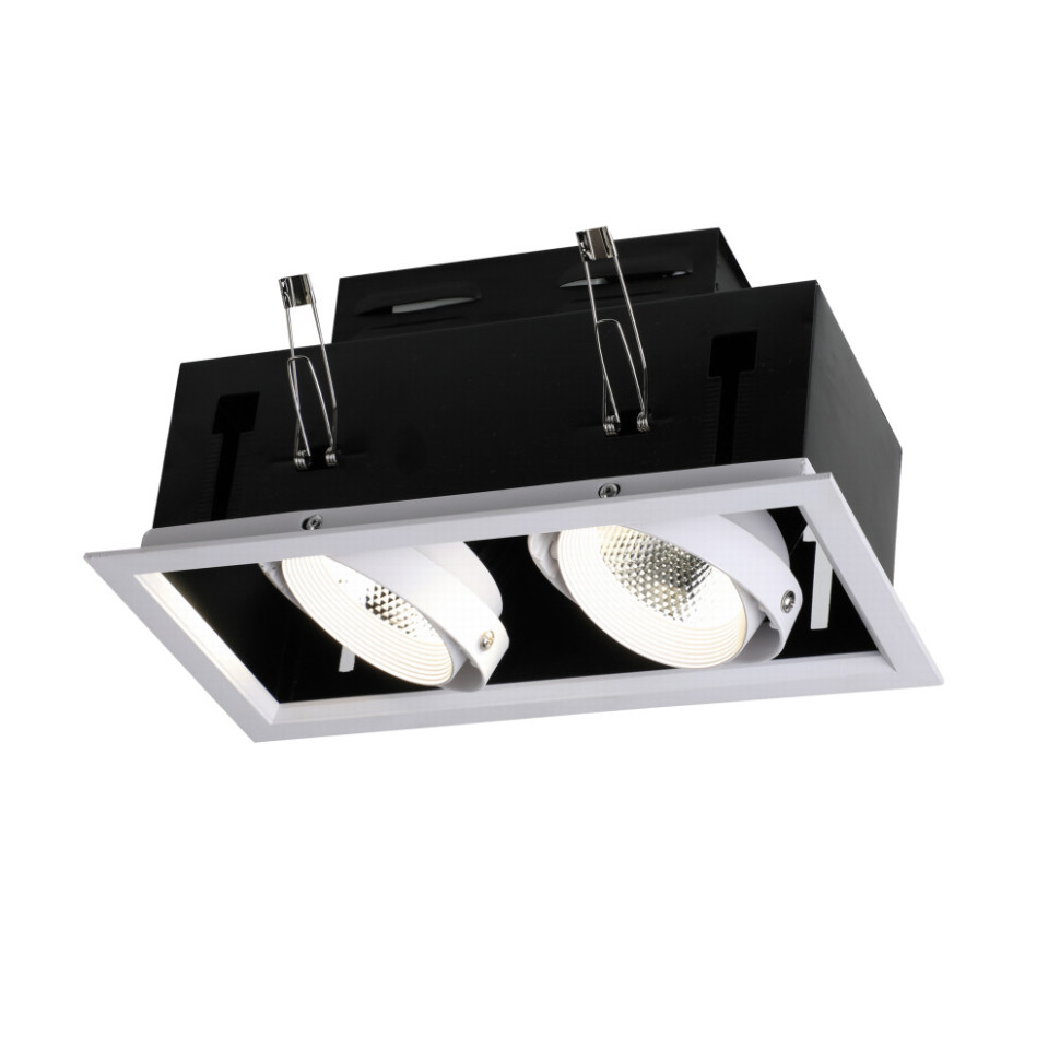 Точечный светильник Flashled 1985-2C Favourite