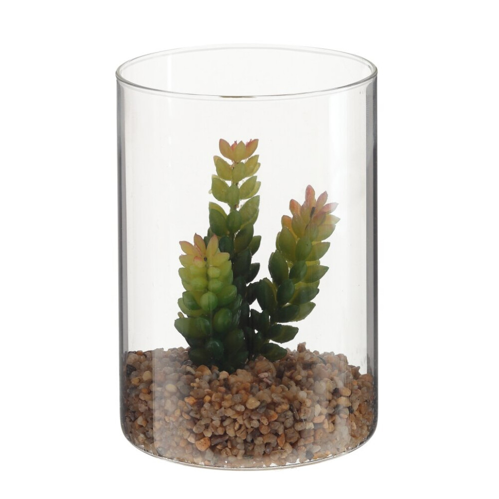 Цветочная композиция "Суккулент", L12 W12 H25 см