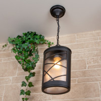 Уличный светильник подвесной Premier GL 1017H Elektrostandard