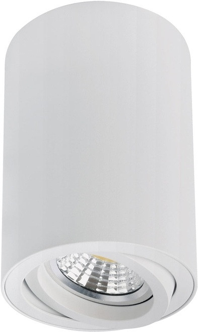 Точечный светильник Sentry A1566PL-1WH Arte Lamp