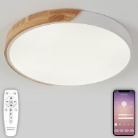 Потолочный светильник Scandinavian LED LAMPS 81182 Natali Kovaltseva Потолочный светильник Scandinavian LED LAMPS 81182 Natali Kovaltseva