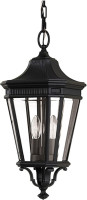 Уличный светильник подвесной Cotswold Lane FE-COTSLN8-M-BK Feiss