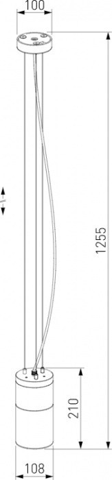 Уличный светильник подвесной Roil 35125/H Elektrostandard