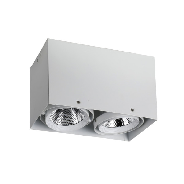 Точечный светильник Flashled 1986-2U Favourite