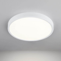 Потолочный светодиодный светильник Elektrostandard DLR034 24W 4200K a043016