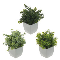 Цветочная композиция, L11 W11 H16 см, 3в.