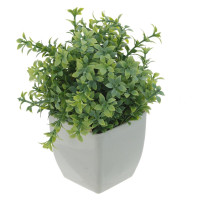 Цветочная композиция, L11 W11 H16 см, 3в.