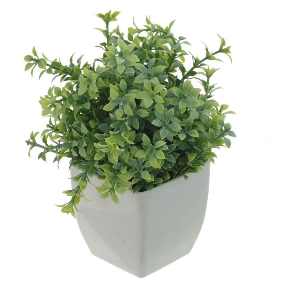 Цветочная композиция, L11 W11 H16 см, 3в.