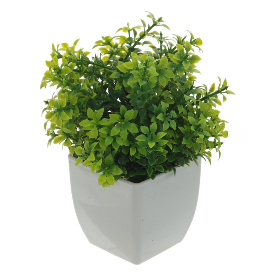 Цветочная композиция, L11 W11 H16 см, 3в.