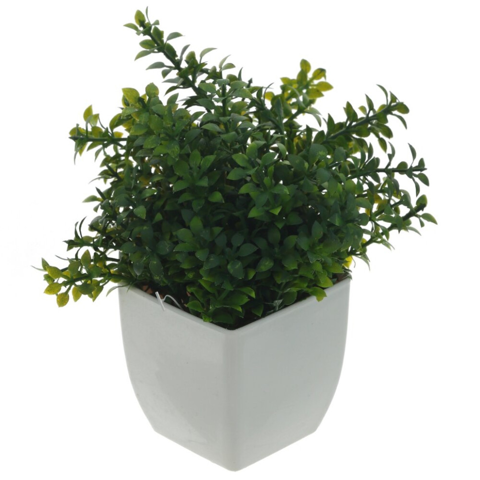 Цветочная композиция, L11 W11 H16 см, 3в.