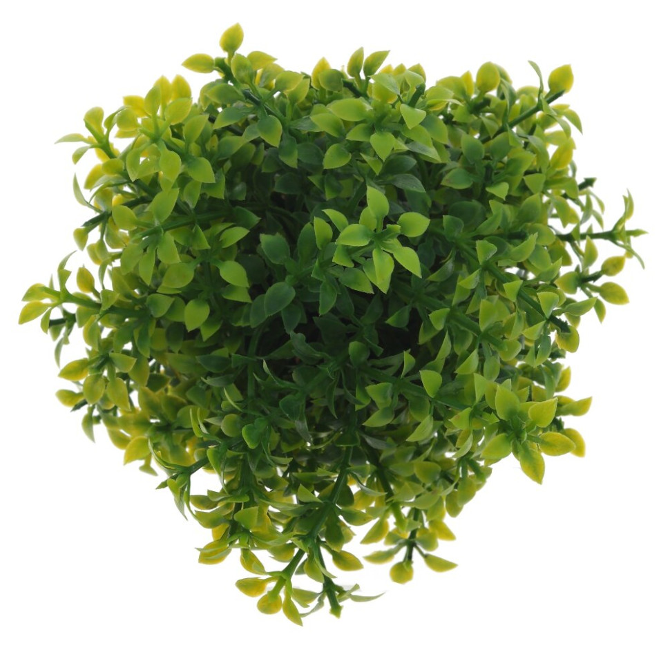 Цветочная композиция, L11 W11 H16 см, 3в.