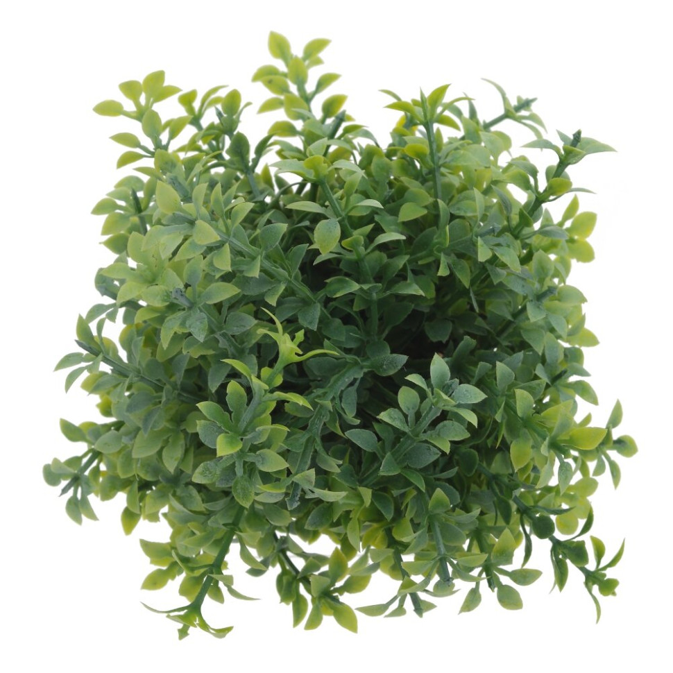 Цветочная композиция, L11 W11 H16 см, 3в.