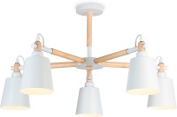 Потолочная люстра Traditional TR82208 Ambrella