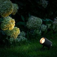 Грунтовый светильник Landscape 35146/S черный Elektrostandard