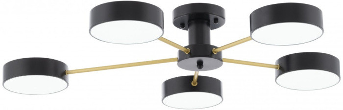 Потолочная люстра Ferrara 252006/5 Bk/Bk Arte Milano