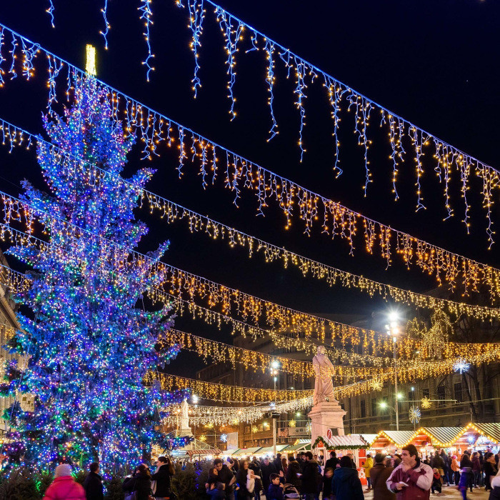 Гирлянда CLASSIC 034117 Ardecoled