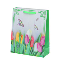 Пакет подарочный M (бумага 210г/м2, блок микс12шт), L26 W10 H32 см, 4в.