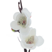 Цветочная композиция "Сакура", L10,5 W7,5 H30 см