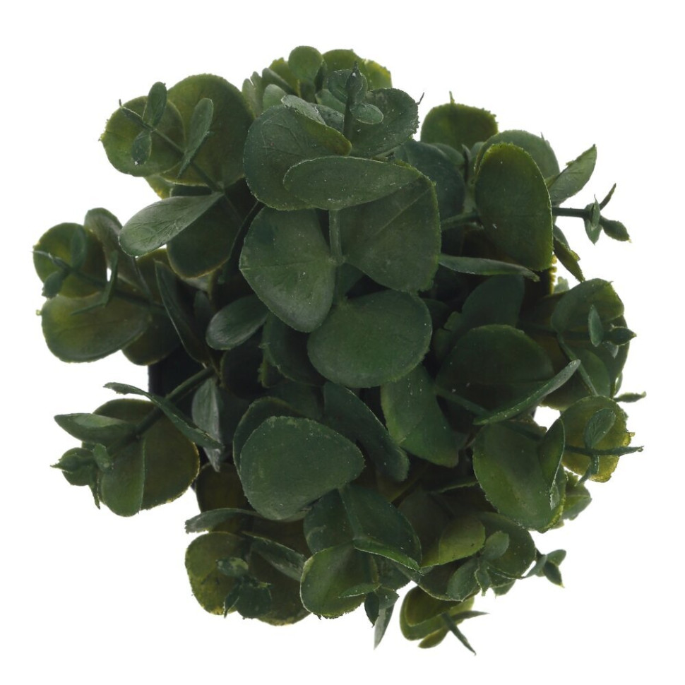 Цветочная композиция, L8 W8 H14 см