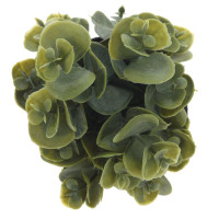 Цветочная композиция, L8 W8 H14 см