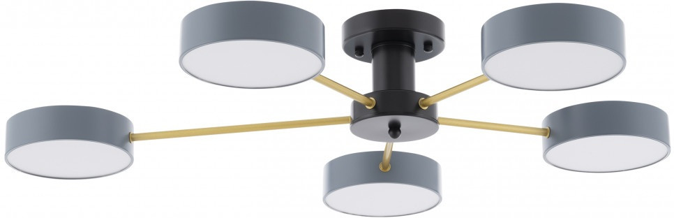 Потолочная люстра Ferrara 252006/5 Bk/Gr Arte Milano