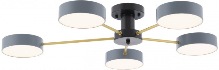 Потолочная люстра Ferrara 252006/5 Bk/Gr Arte Milano