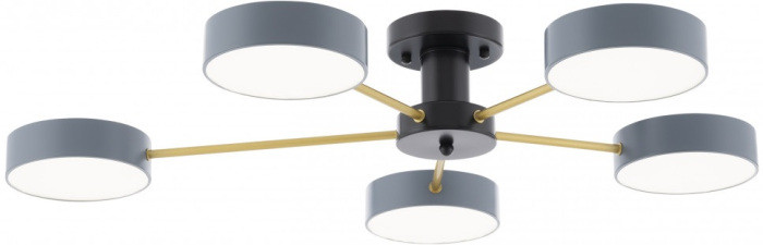 Потолочная люстра Ferrara 252006/5 Bk/Gr Arte Milano