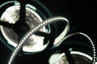 Светодиодная лента SWG4240 SWG4240-12-24-W-M SWG Светодиодная лента SWG4240 SWG4240-12-24-W-M SWG