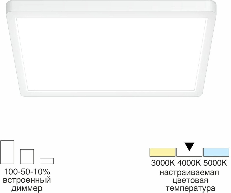 Потолочный светильник Бейсик CL738K240V Citilux
