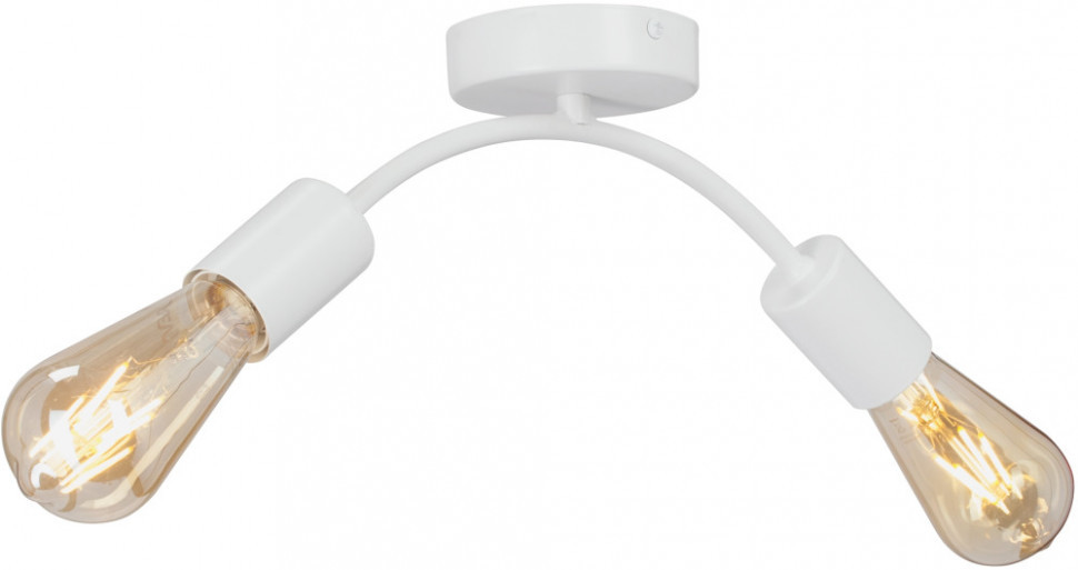 Потолочный светильник V4989-0/2PL Vitaluce