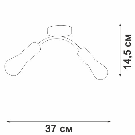 Потолочный светильник V4989-0/2PL Vitaluce