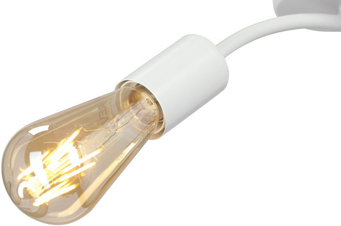 Потолочный светильник V4989-0/2PL Vitaluce