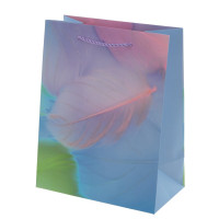 Пакет подарочный S (бумага 210г/м2, блок микс 12шт), L18 W10 H23 см, 4в.