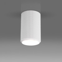 Потолочный светильник Elektrostandard Spike DLN112 GU10 белый a048144