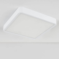 Потолочный светодиодный светильник Elektrostandard DLS034 18W 4200K a043017