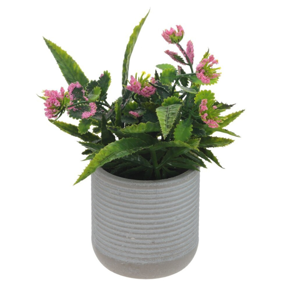 Цветочная композиция, L10 W10 H20 см