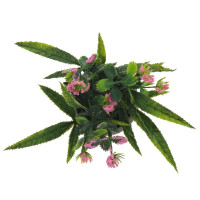 Цветочная композиция, L10 W10 H20 см