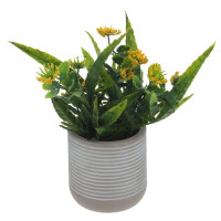 Цветочная композиция, L10 W10 H20 см