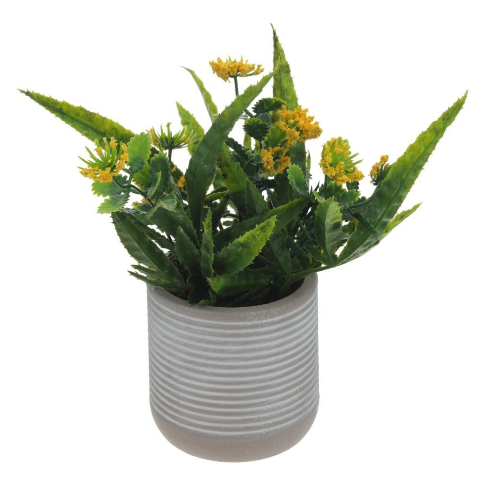 Цветочная композиция, L10 W10 H20 см