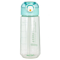 Бутылка, 590 мл, L7,5 W8 H20 см, 4в.