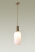 Подвесной светильник Martin V2890-1P Moderli